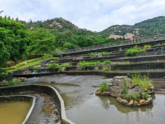 -厦门国家会计学院