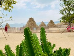 -大梅沙海滨公园