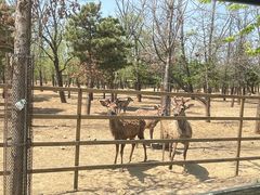 -秦皇岛野生动物园