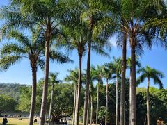 -深圳仙湖植物园