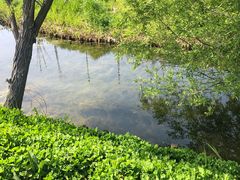 -前小桔亲子创意农场·草莓采摘·露营烧烤