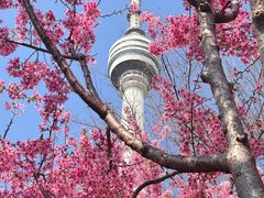 -龟山风景区-龟山电视塔