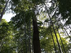 -山沟沟景区