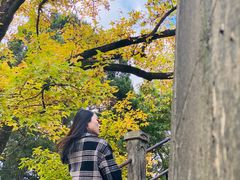 -溪口-滕头旅游景区