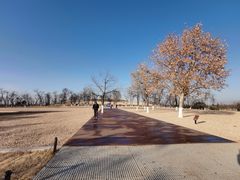 -汉长安城未央宫国家考古遗址公园