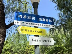 -洛阳市隋唐城遗址植物园