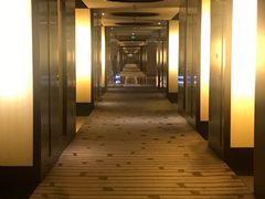 -北京首都机场希尔顿酒店