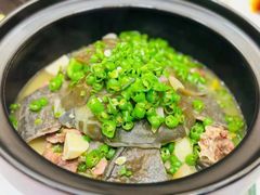 -东湖印象汉寿特色甲鱼钵子菜(渔人码头店)