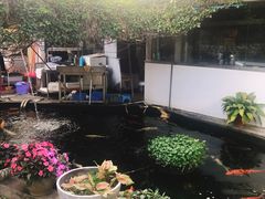 -寻味顺德·南记酒家·传统顺德菜·鱼生(广源路店)