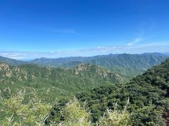 -大岭沟猕猴桃谷风景区