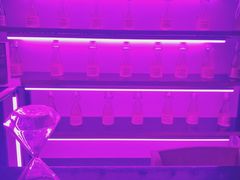 -chi K11艺术空间展览厅