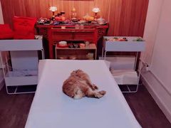 -翡翠森林宠物火化殡葬(通州店)