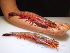 -無鱼鳞比