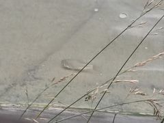 -武陵山森林公园