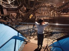 -世界恐龙谷景区