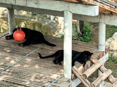 -石家庄市动物园