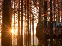 -黄海国家森林公园