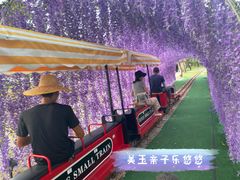 -长洲岛都市农业公园