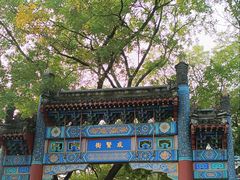 -北京国子监胡同