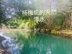 -杨梅坑