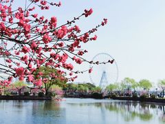 -无锡蠡湖国家湿地公园-蠡园