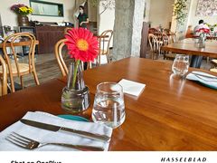 -Laures·月桂西班牙碳烤餐厅(十尚坊店)