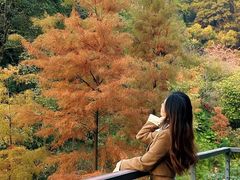 -云溪植物园