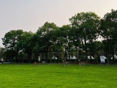 -不觉晓CAMPING(上海迪士尼营地店)