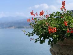 -埃马努埃莱二世拱廊