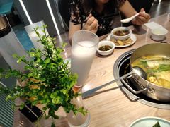 -探窝·竹笙椰子鸡(杨箕店)