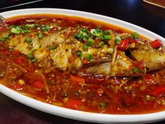 -陈麻婆豆腐总店