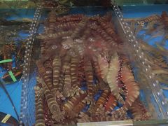 -四川小胡子海鲜(丁村万人海鲜广场店)