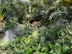 -广州长隆野生动物世界