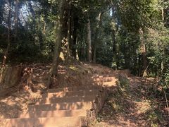 -凤栖山