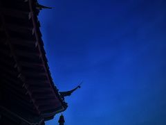 -葛仙湖公园