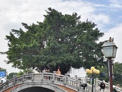 -石炮台公园