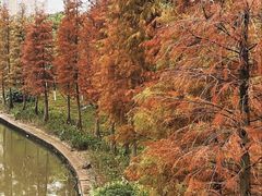 -怡海公园(桂城街道)