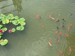 -张公山寨景区