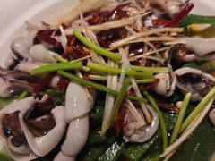 -船歌·鱼水饺青岛菜(金狮广场店)