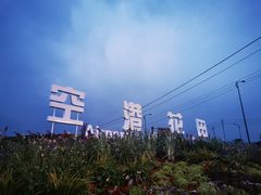 -空港花田景区