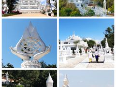 -莫里热带雨林景区