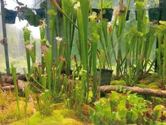 -国家植物园南园