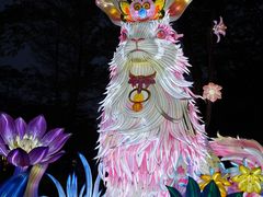 -厦门园林博览苑