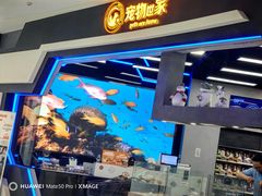 -LuOne凯德晶萃广场(徐家汇路店)