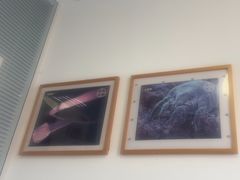 -瑞派福兴宠物医院犬猫全科·骨科·中西医结合(河东店)