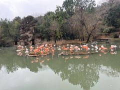 -宁波野生动物园