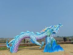 -空港花田景区