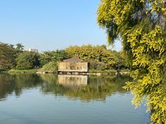 -海珠湖公园