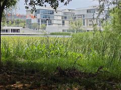 -洋湖国家湿地公园