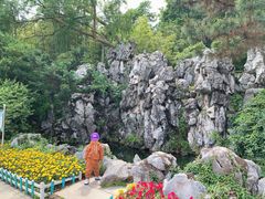 -菊花台公园